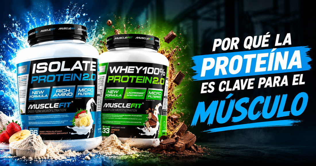 Cuánta proteína necesitas al día para ganar músculo