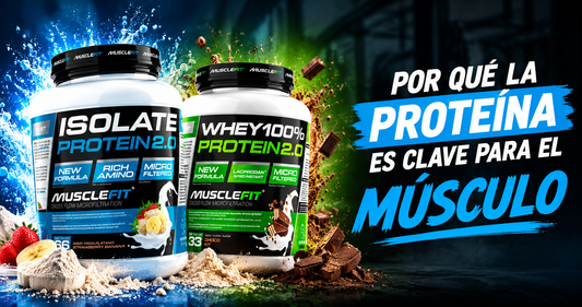 Cuánta proteína necesitas al día para ganar músculo